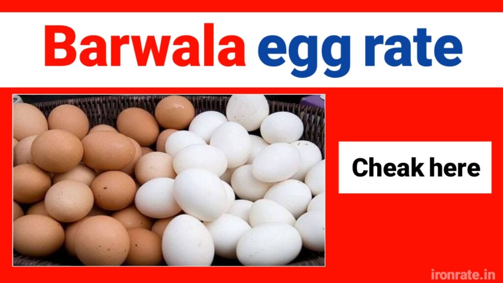 Barwala egg rate